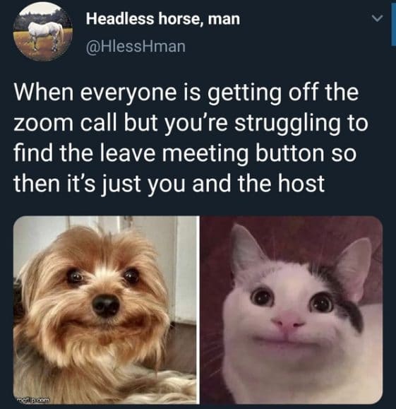 Meme